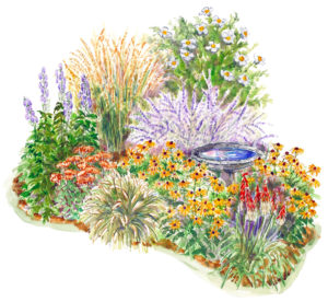garden
